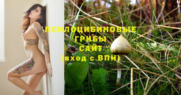 2c-b Кинешма