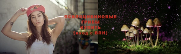2c-b Кинешма