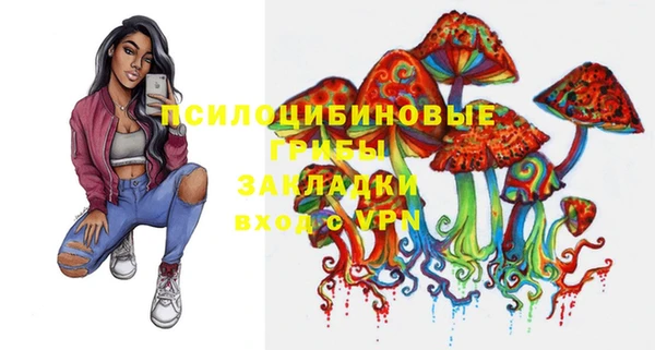 твердый Киреевск
