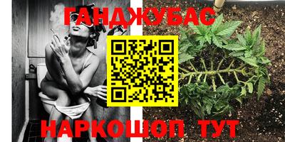 стаф Берёзовский