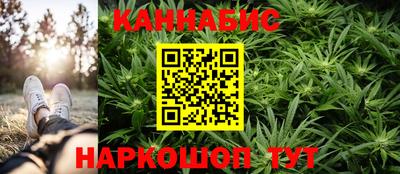 стаф Берёзовский