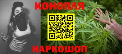 стаф Берёзовский