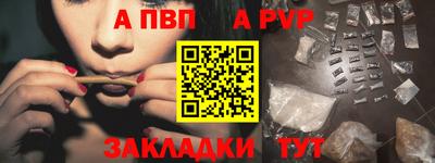 стаф Берёзовский