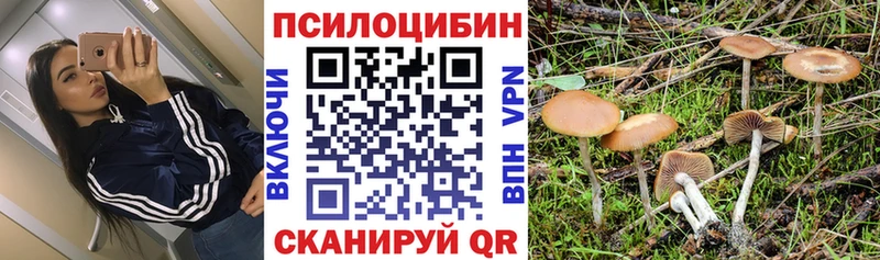 Псилоцибиновые грибы MAGIC MUSHROOMS наркотики Карпинск