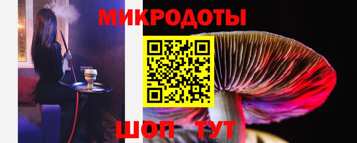 Галлюциногенные грибы Psilocybe Карпинск